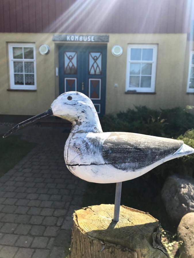 "Steuermannskammer" By Ferienhaus Strandgut Born Buitenkant foto