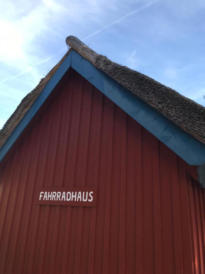 "Steuermannskammer" By Ferienhaus Strandgut Born Buitenkant foto